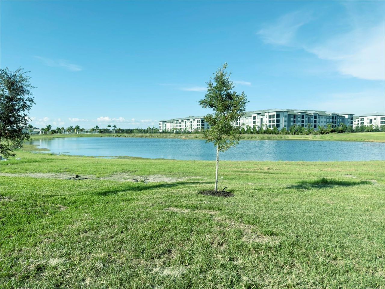 117 Van Gogh Cove, Bradenton, FL 34212 Photo