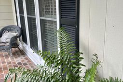 201 Silverhill Road photo 4
