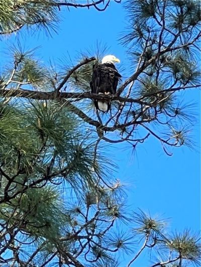 9618 Hemingway Ln, Unit 3904, Fort Myers, FL 33913 Photo