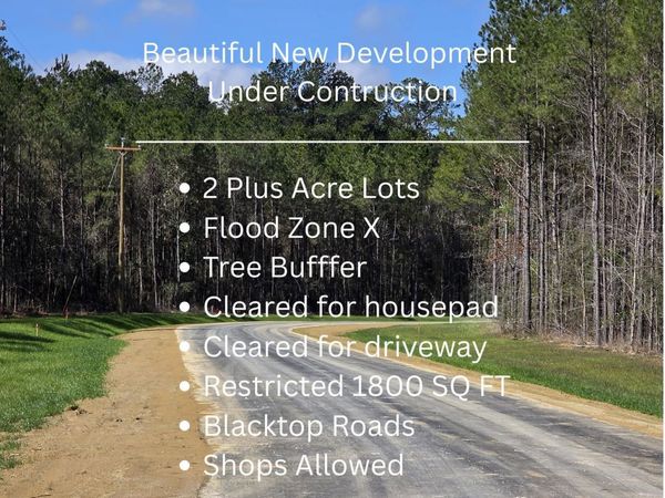 Lot 13 Honey Grove, Livingston, LA 70754