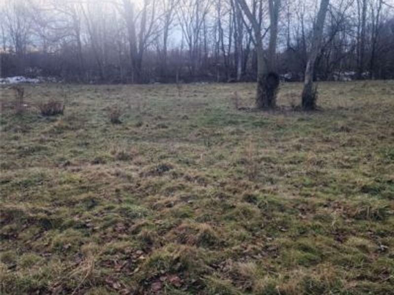 7833 Pymatuning Lake Road, Williamsfield, OH 44093 Photo 20