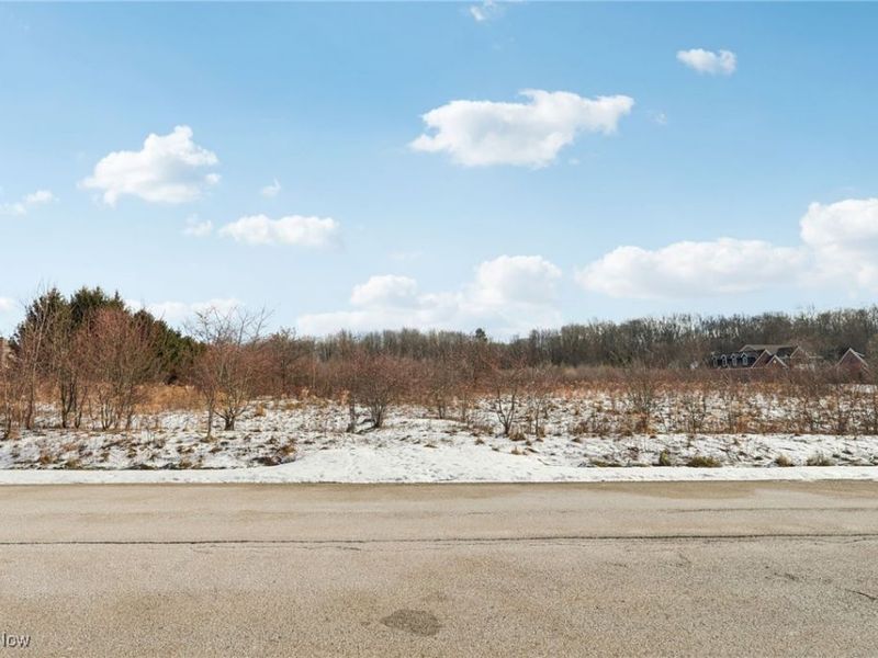 15665 Harmony Falls Lane, Novelty, OH 44072 Photo 1