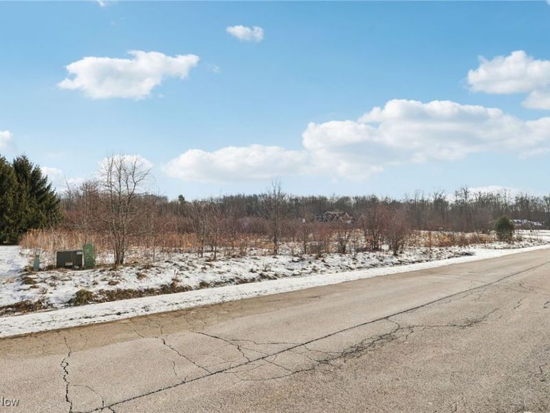 15665 Harmony Falls Lane, Novelty, OH 44072 Photo 2