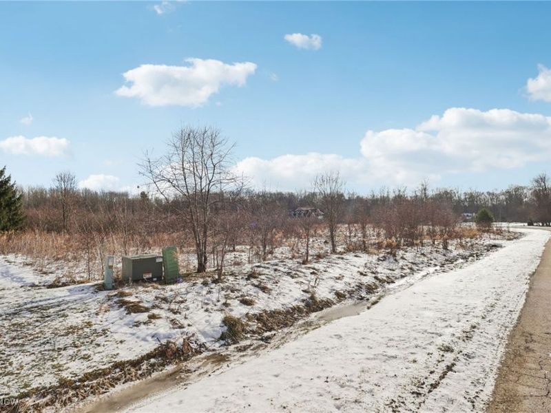 15665 Harmony Falls Lane, Novelty, OH 44072 Photo 3