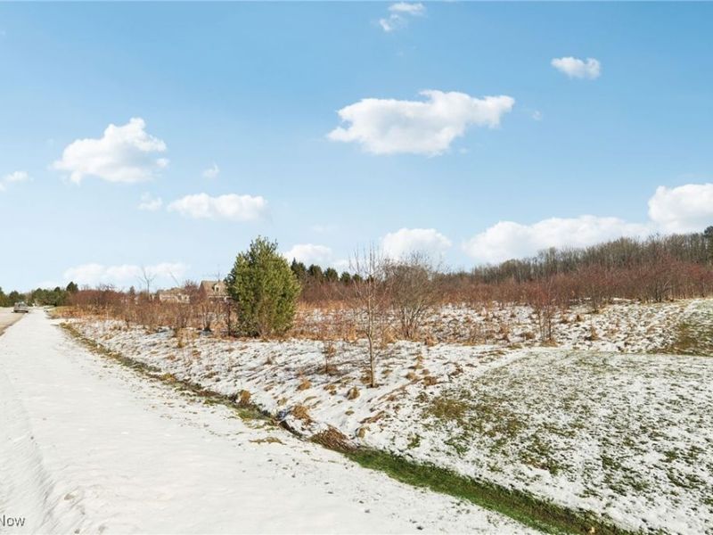 15665 Harmony Falls Lane, Novelty, OH 44072 Photo 4