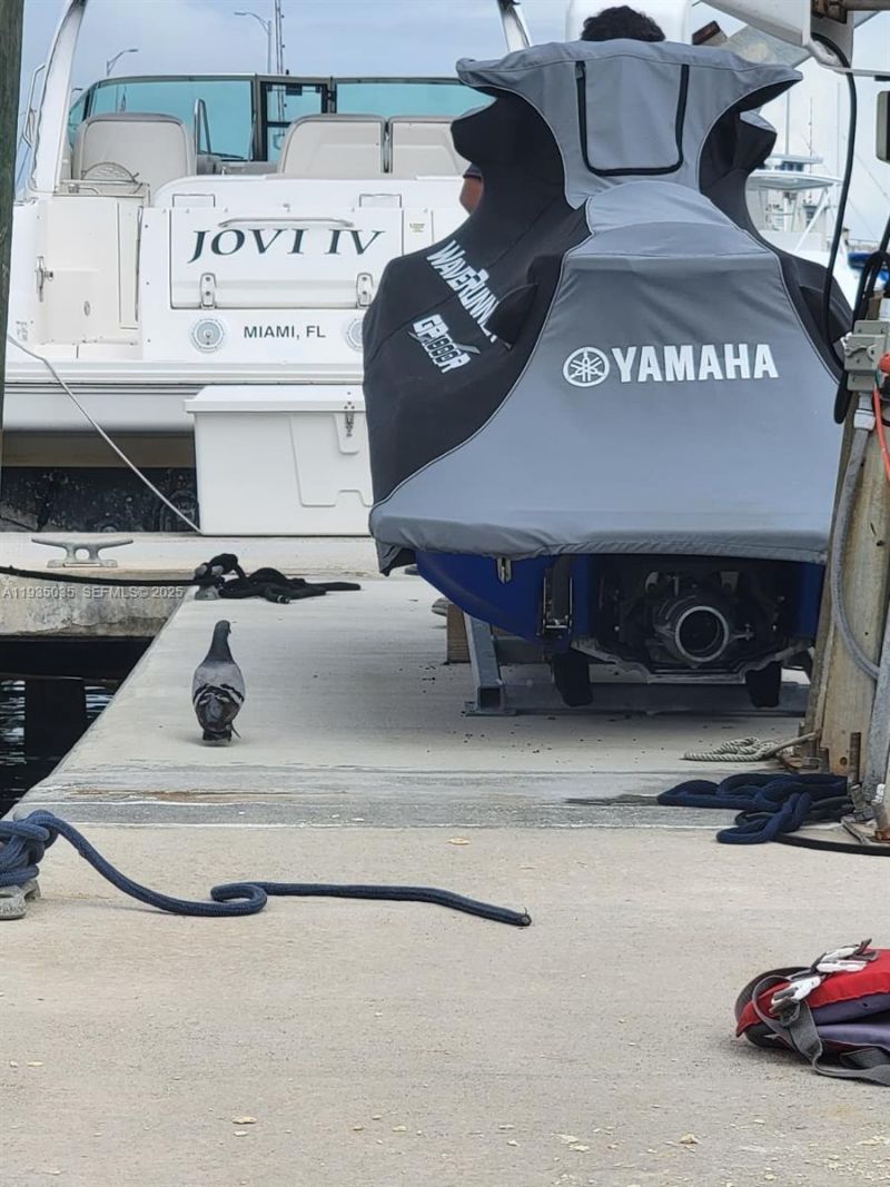 7601 E Treasure Dr / Dock D5 (for Rent), North Bay Village, FL 33141 Photo