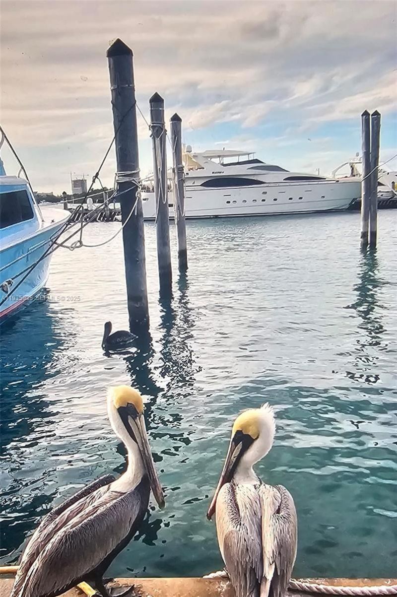 7601 E Treasure Dr / Dock D5 (for Rent), North Bay Village, FL 33141 Photo