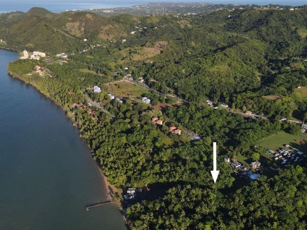 Carr 115 KM 4.3, Añasco, PR 00610