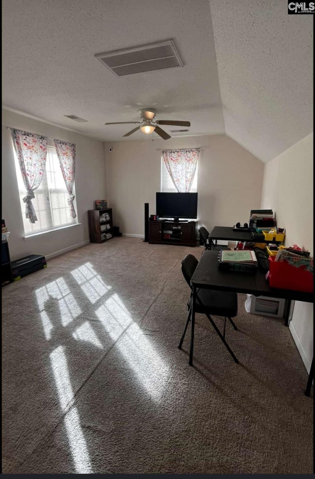 117 Waterville Drive Photo 10