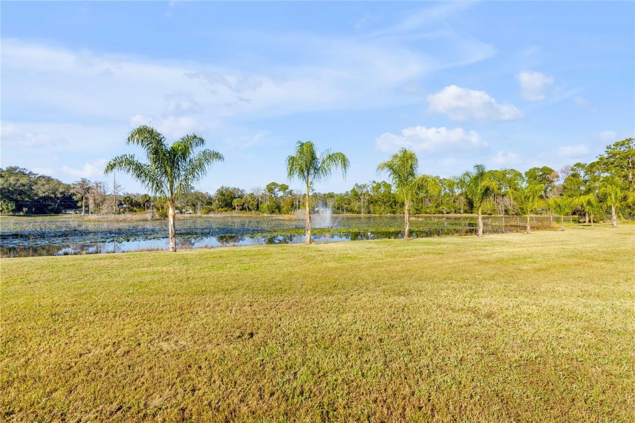 420 Roberts Road, Pierson, FL 32180 Photo