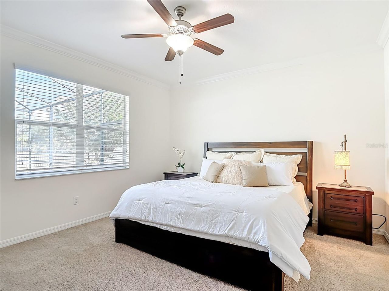 13913 Bee Tree Court, Hudson, FL 34669 Photo