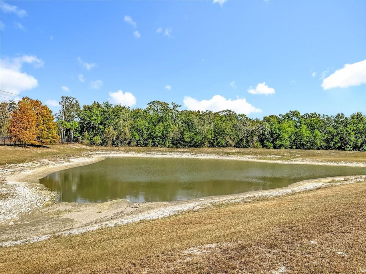 13913 Bee Tree Court, Hudson, FL 34669 Photo