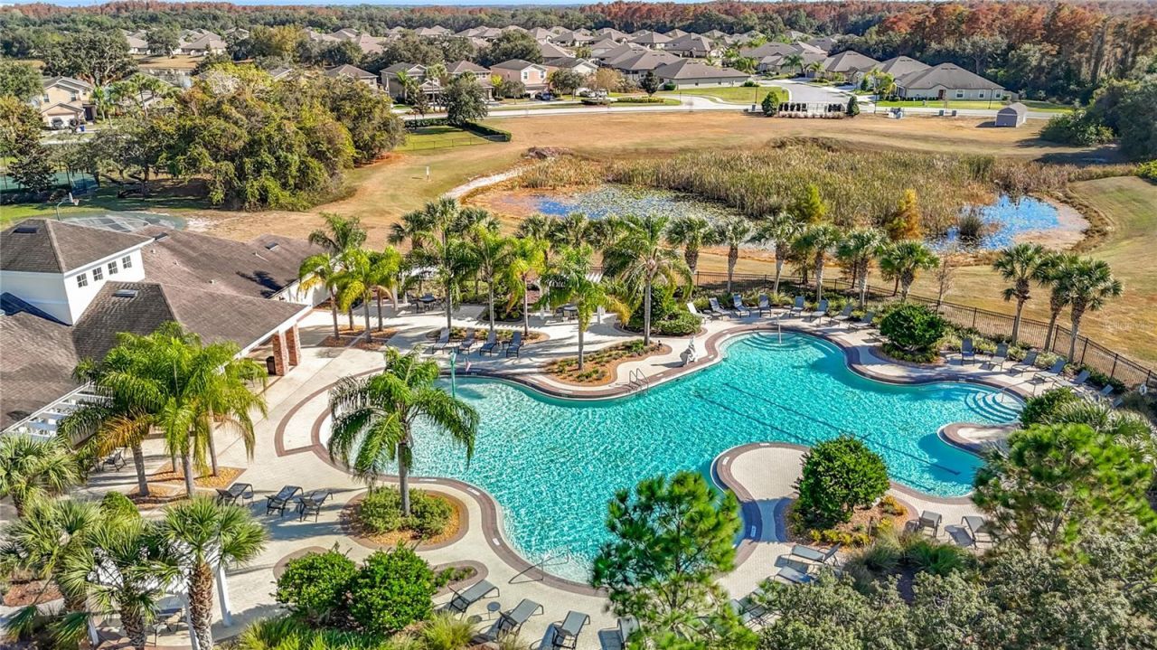 13913 Bee Tree Court, Hudson, FL 34669 Photo