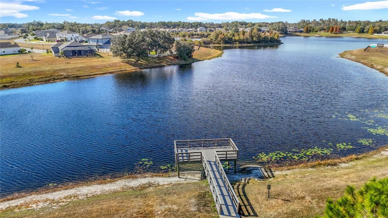 13913 Bee Tree Court, Hudson, FL 34669 Photo