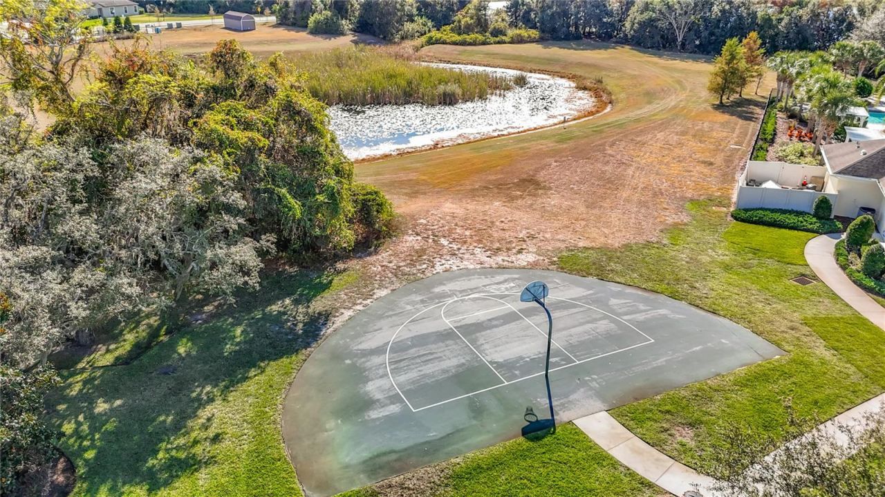 13913 Bee Tree Court, Hudson, FL 34669 Photo