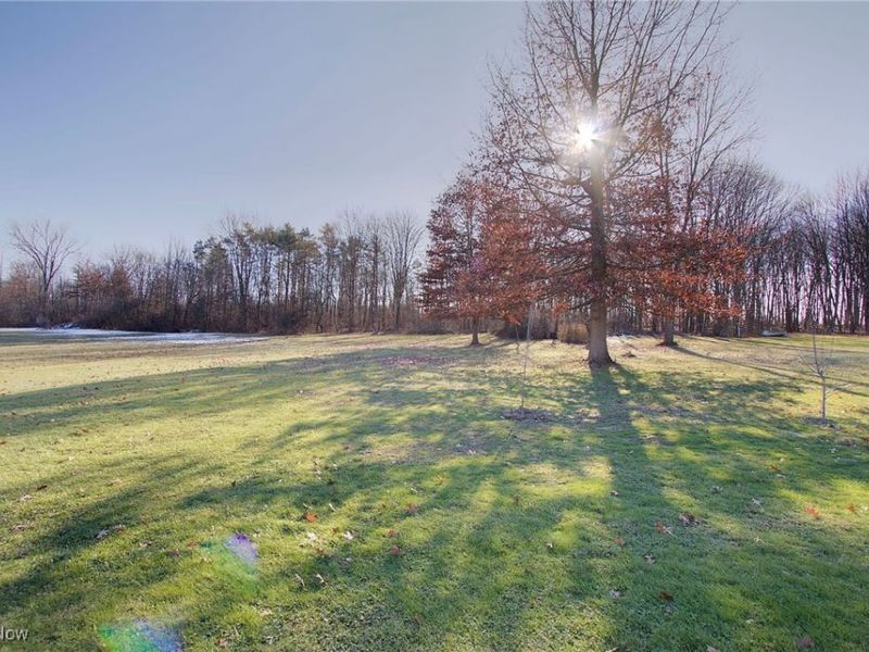 2950 Colon Drive, Copley, OH 44321 Photo 42