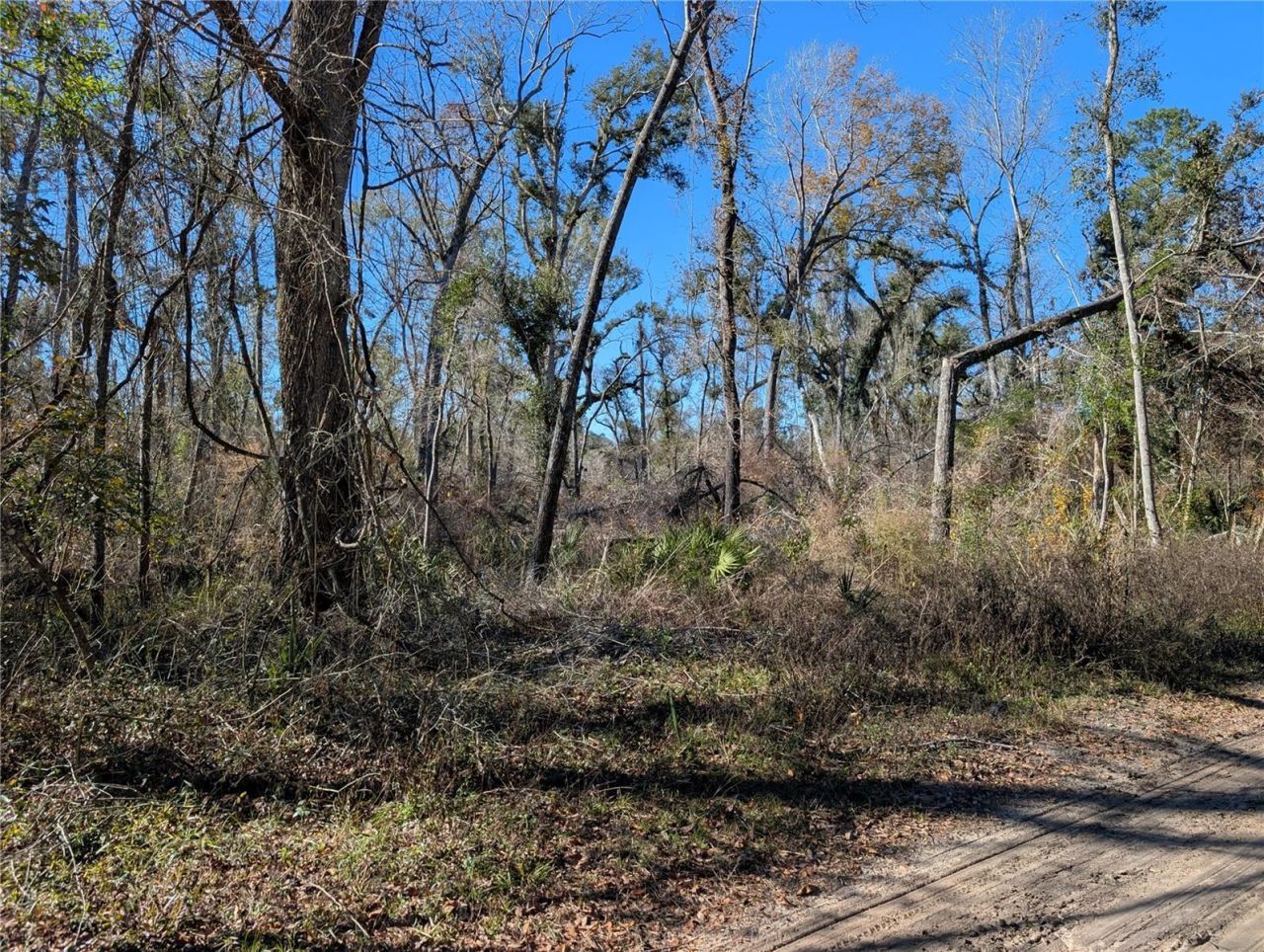 Nw Fox Run Trail, Lot #107, Mayo, FL 32066 Photo