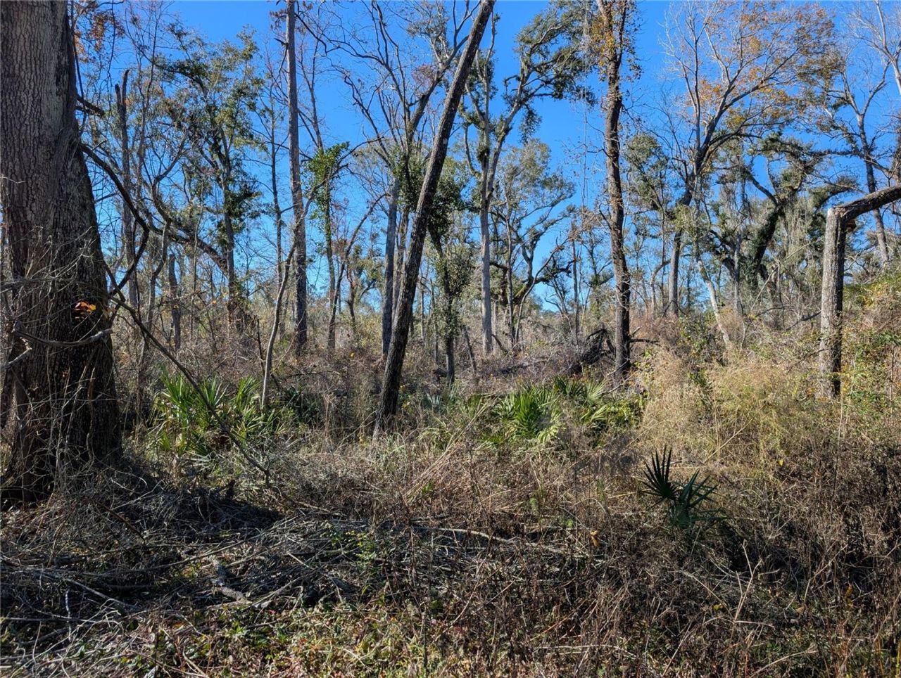 Nw Fox Run Trail, Lot #107, Mayo, FL 32066 Photo