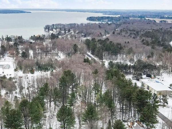 00 Birch Lake Rd. Road , Milton Twp, MI 49648