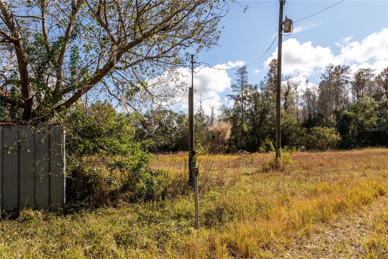 0 Tarpon Springs Road, Odessa, FL 33556 Photo