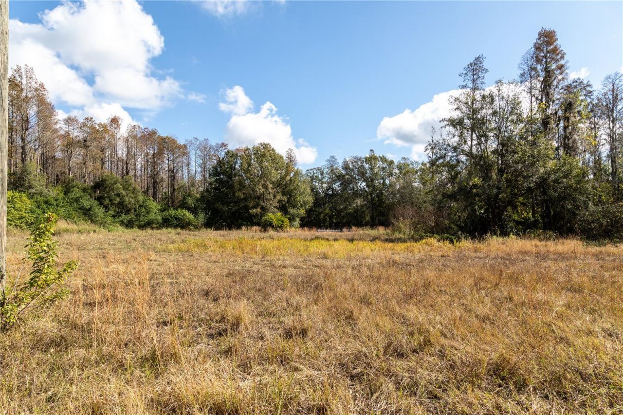 0 Tarpon Springs Road, Odessa, FL 33556 Photo