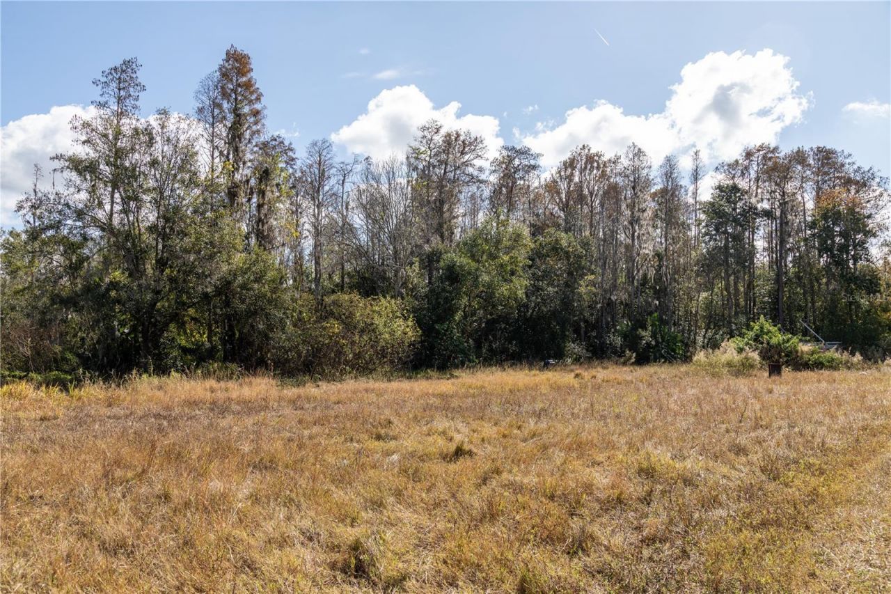 0 Tarpon Springs Road, Odessa, FL 33556 Photo