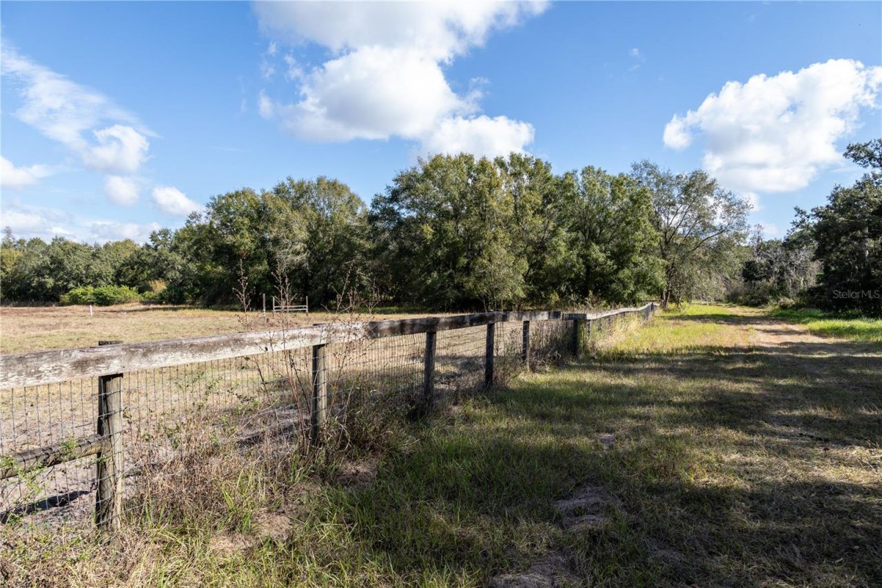 0 Tarpon Springs Road, Odessa, FL 33556 Photo