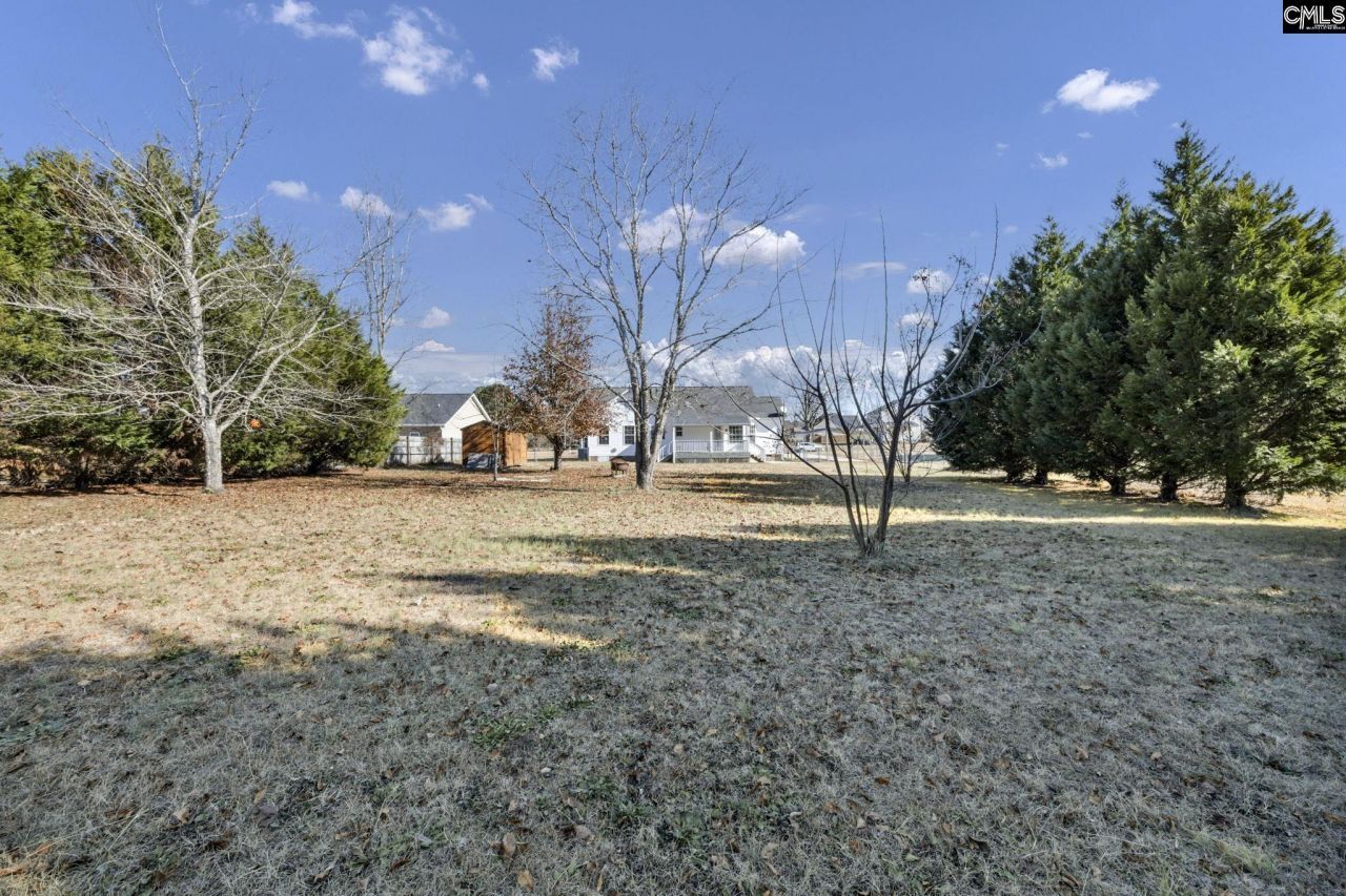 25 Raindance Lane  Photo 8