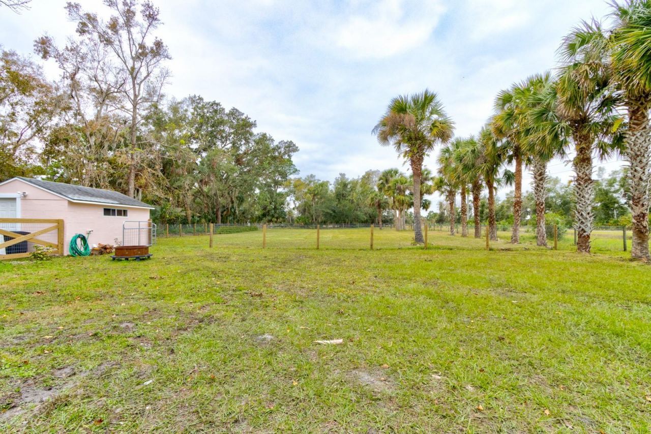 388 N Glencoe Road, New Smyrna Beach, FL 32168 Photo