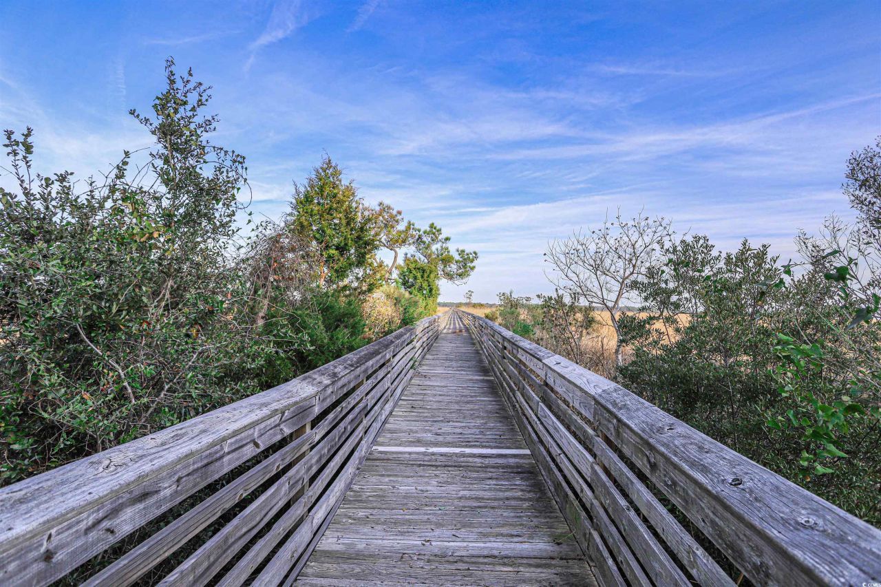 702 Daisy Bank Circle Photo 25