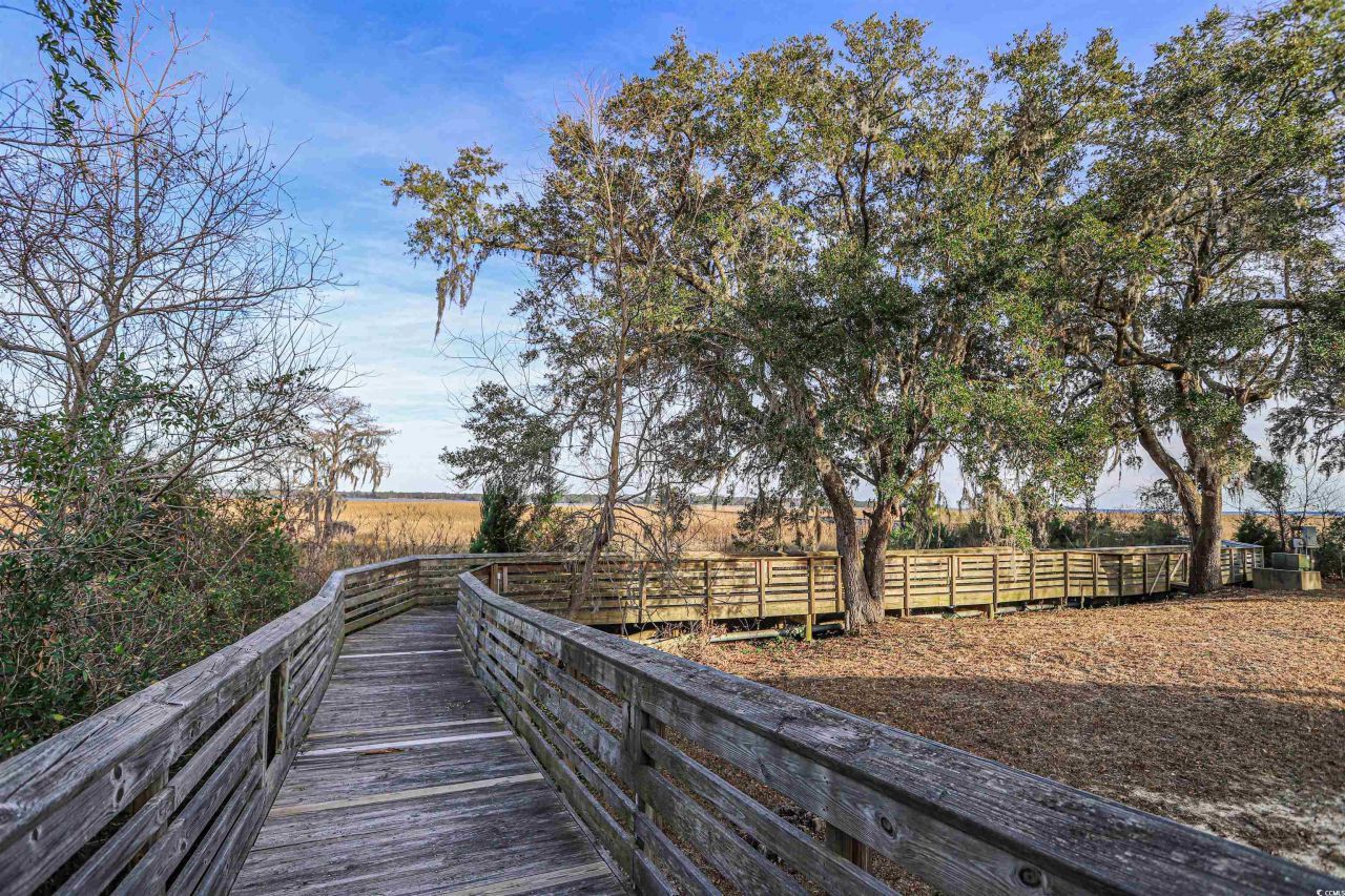 702 Daisy Bank Circle Photo 5