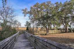 702 Daisy Bank Circle photo 4