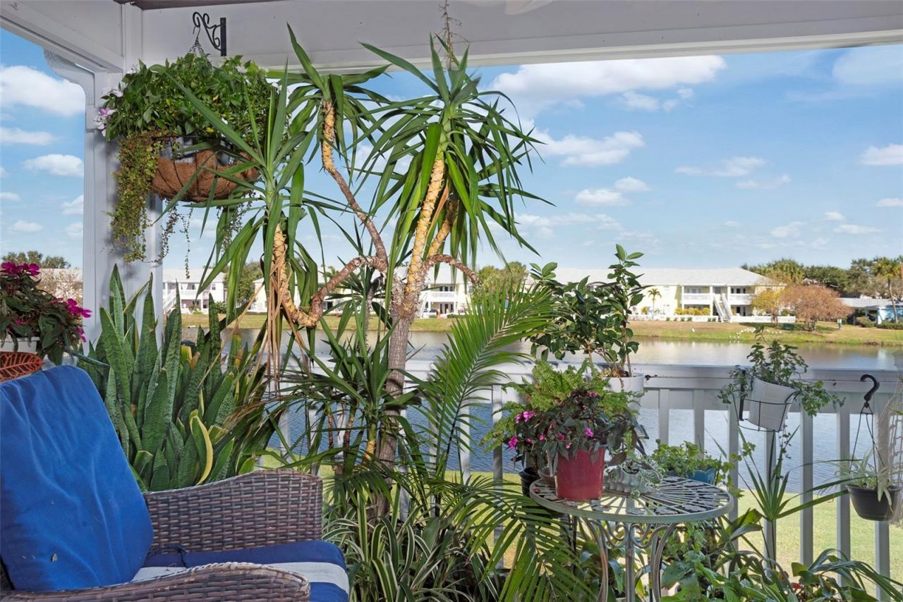 215 Seahorse Drive Se, Unit D, Saint Petersburg, FL 33705 Photo