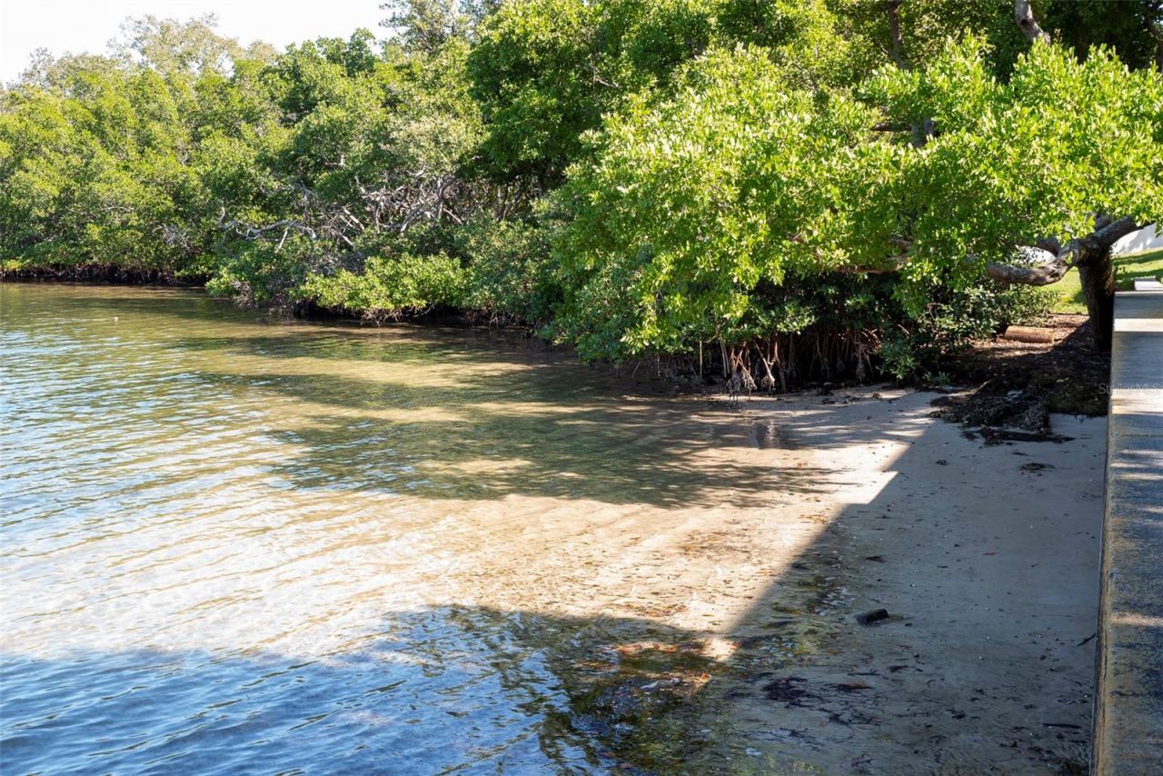 215 Seahorse Drive Se, Unit D, Saint Petersburg, FL 33705 Photo