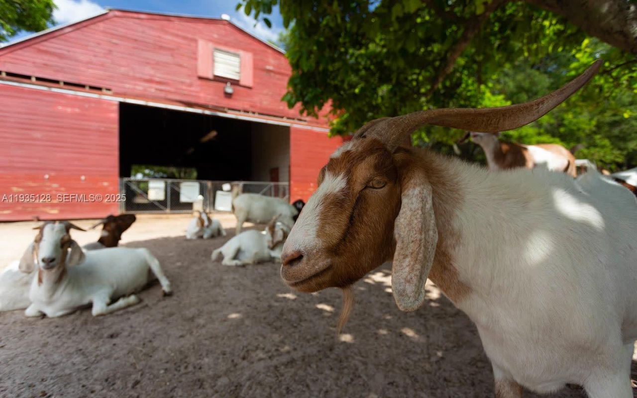 895 W 79th Pl, Hialeah, FL 33014 Photo