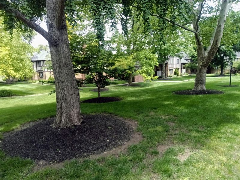 650 Providence Avenue, Unit F, Columbus, OH 43214 Photo 4