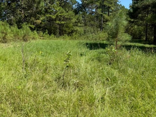 County Road 1113, Kosciusko, MS 39090