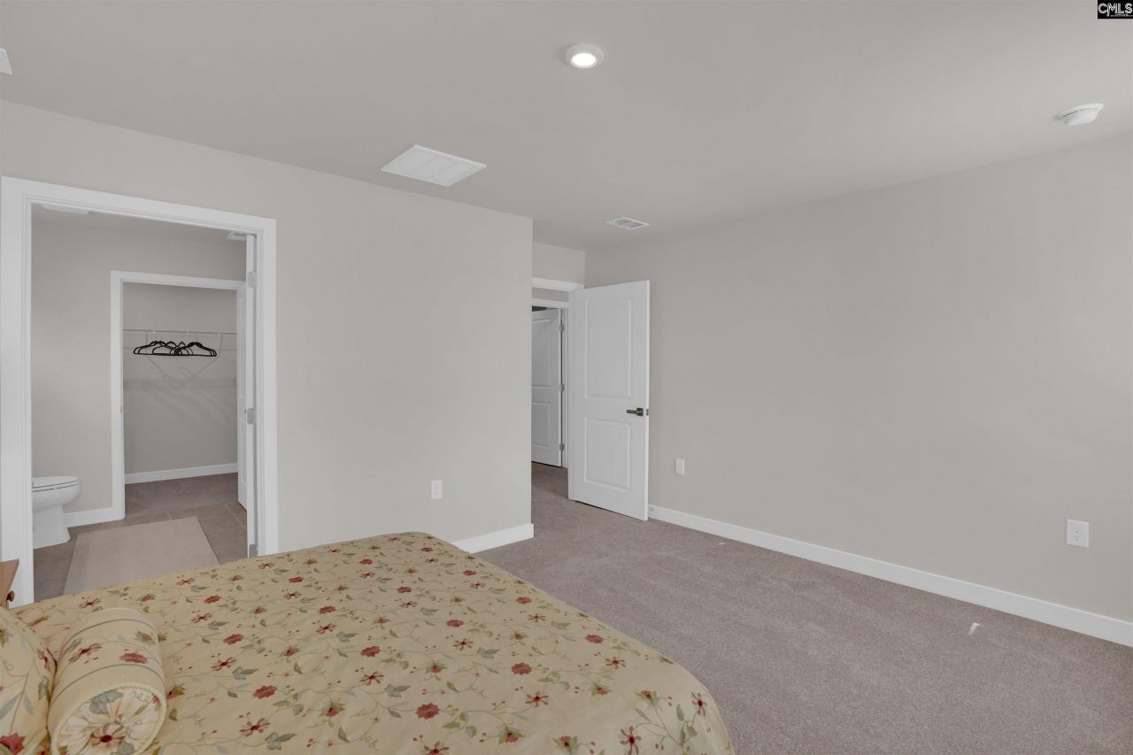 385 Switch Grass Court Photo 19