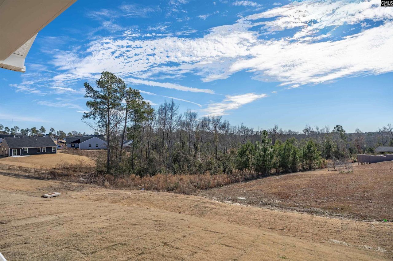 385 Switch Grass Court Photo 37