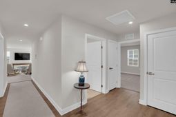 385 Switch Grass Court photo 4