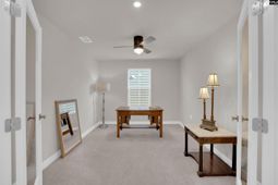 385 Switch Grass Court photo 4