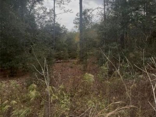 0 SW 21 PLACE, OCALA, FL 34481