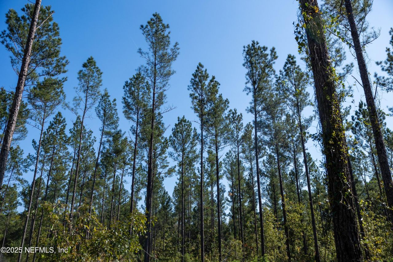 0 Us Highway 301, Callahan, FL 32011 Photo