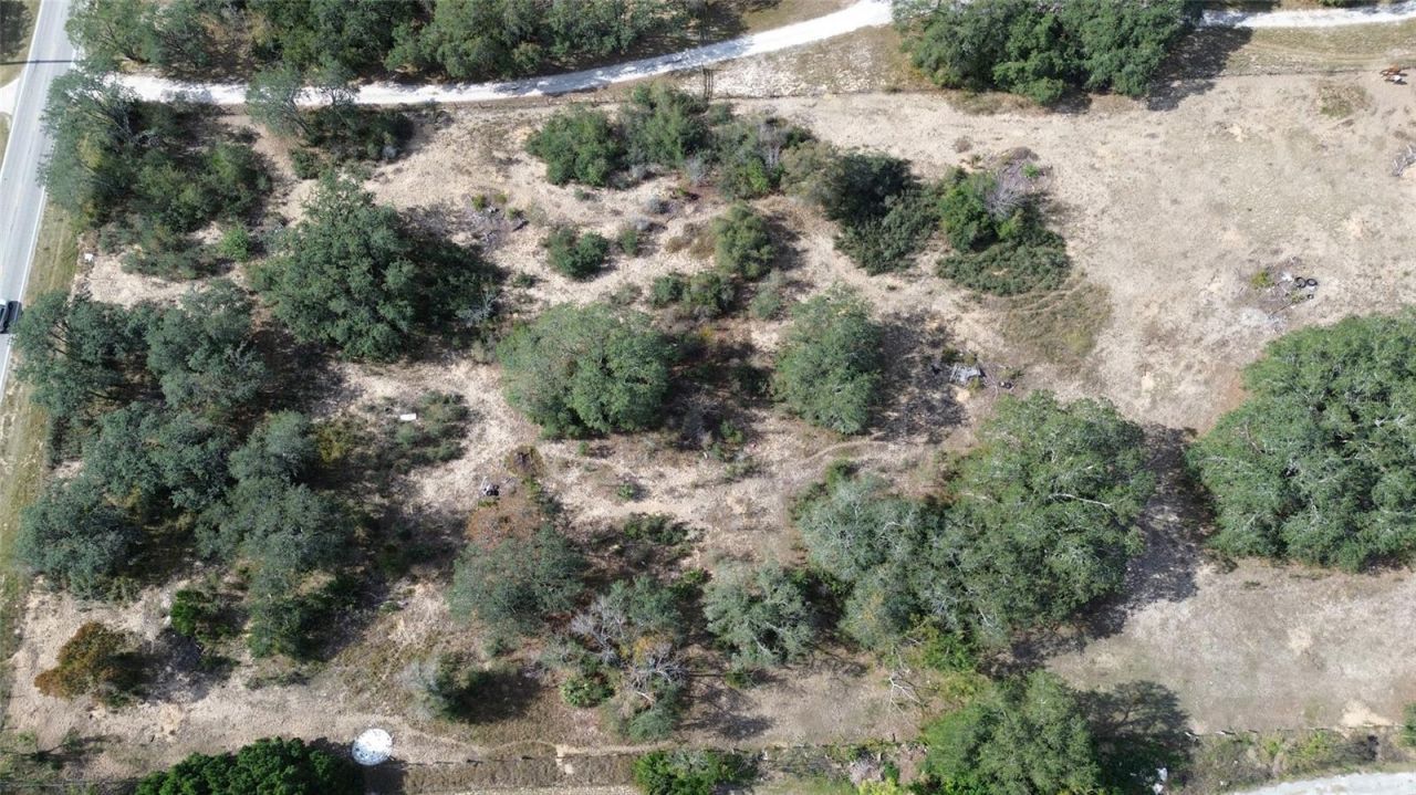 Johnson Avenue E, Haines City, FL 33844 Photo