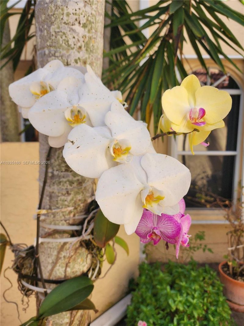 21028 NE 34th Ct, Unit 21028, Aventura, FL 33180 Photo