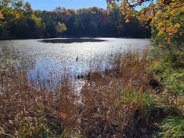 0 HWY 42, Belle, MO 65013