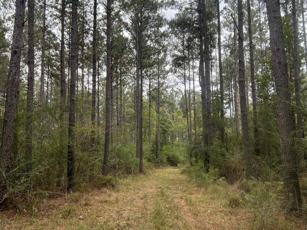 Enon Sartinville Road, Jayess, MS 39641