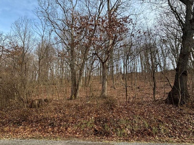 0 E SD BENNER OH, South Salem, OH 45681 Photo 1