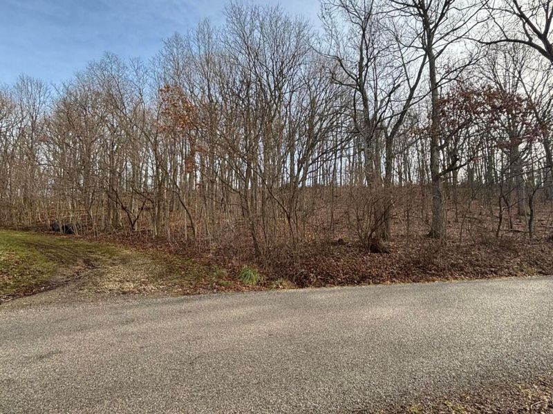 0 E SD BENNER OH, South Salem, OH 45681 Photo 2