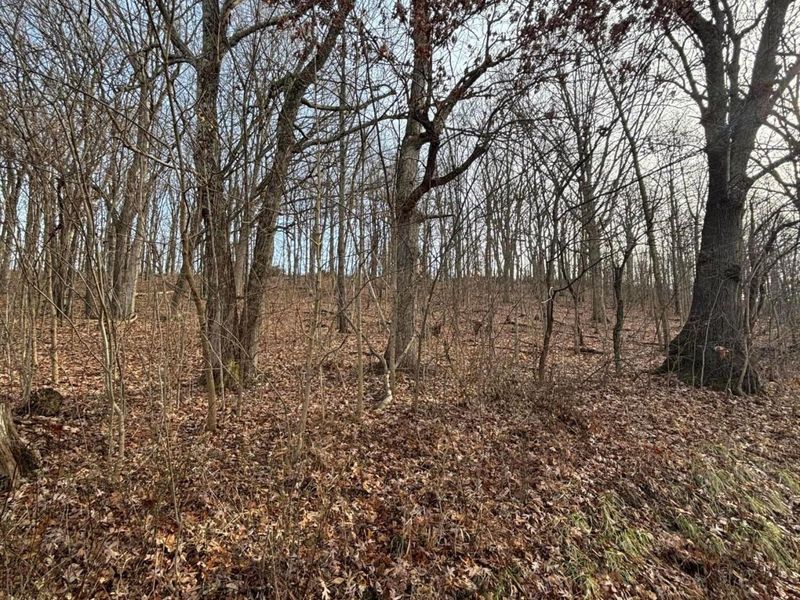 0 E SD BENNER OH, South Salem, OH 45681 Photo 3